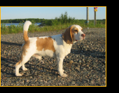 Midian's Benny Hill "Benny"