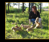 Kasvattaja-mamma cockeripentuineen