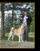 Midian's King Of The North "Konsta"