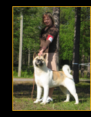 Midian's In Your Dreams "Ilona"