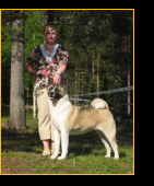 Midian's Dayshimmer Girl "Aiko"